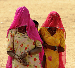 INDIA : RAJASTAN JANVIER 2010