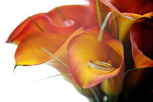 all of the floral arrangements for this wedding were orange or yellow calla