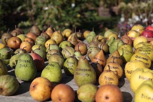 Apple and pear diversity... (la diversité des pommes et des poires)