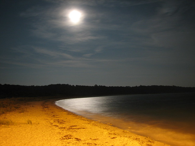 Moonlit strolls on the beach will bring you closer to nature