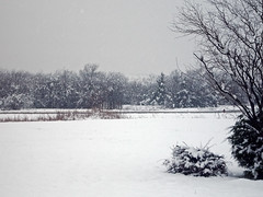 February 2010 Snowstorm