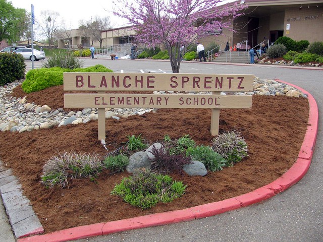 Blanche Sprentz Volunteer Day