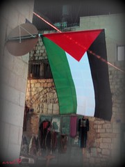 Palestina - Palestine