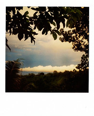 Polaroid Tahiti 2010