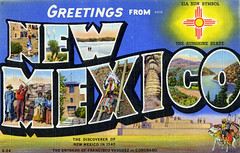 New Mexico Large Letter Postcards