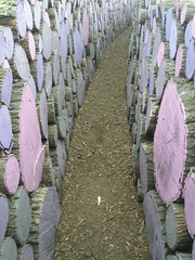 Purple Log Pathway