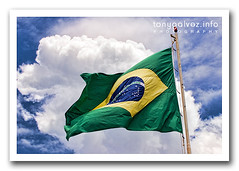 Brazilian flag / bandera brasileña