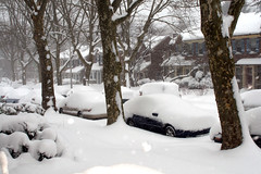 Blizzard of Feb 2010