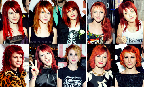 hayley collage hayley williamswhich one is the better
