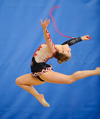 Rhythmic gymnastics Western Canadian championship 2010  