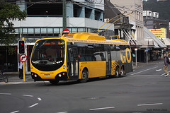 GO Wellington Trolley Buses
