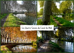 Les Quatre Saisons du Canal du Midi (Exposition n°105 chez "Je suis venu(e) vous dire") 