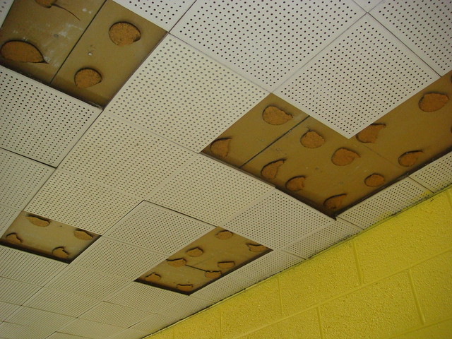 Ceiling tiles 12x12