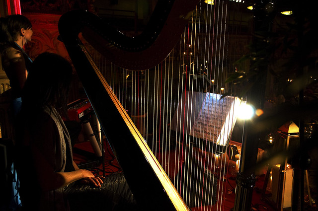 Blackpool Tower Ballroom harp strings