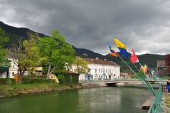 Alam-Austria kevadekilde 2010