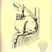 010- Estatua de madera acodada-Capilla de San Nicolas-Lynn en Norfolk-Gothic ornaments.. 1848-50-)- Kellaway Colling
