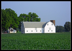 Other Michigan Barns (Not Red)