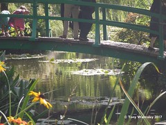 Monet's Garden - Giverny