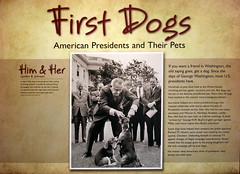 Newseum: First Dogs - American Presidents & Their Pets