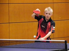 French Youth Table Tennis Championship 2010 (La Roche Sur Foron)