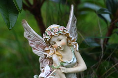 Happy Valentines Day 2010 ~ Wood Nymph Fairy