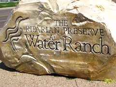 Riparian Preserve AT Water Ranch-Arizona