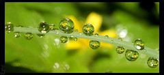 Drops and refraction