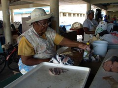 Barbados Fish Market