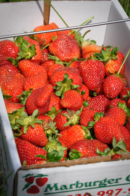 strawberries!
