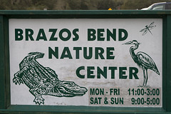 Brazos Bend State Park - TX