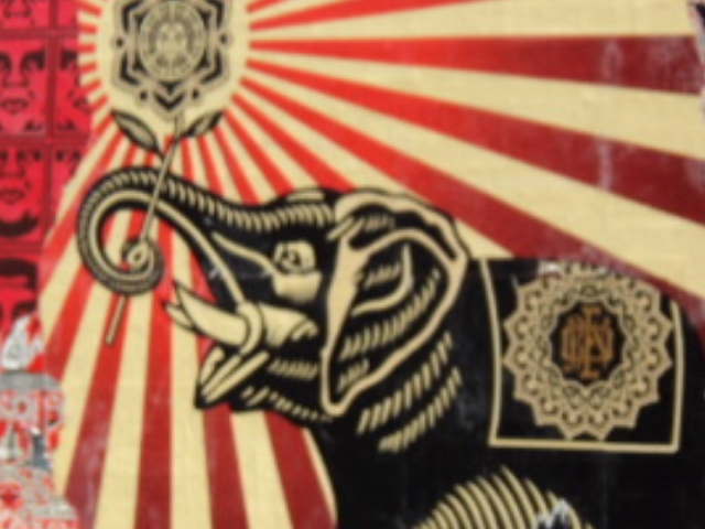 Obey Giant Elephant Graffiti P2 Since I like elephant's I had to crop the