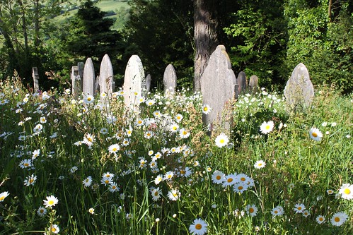 Kenwyn Churchyard, near Truro by Claire Stocker (Stocker Images)