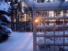 Winter in Finland, January 2010
