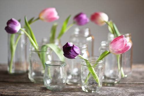 [17/365] tulips in glass