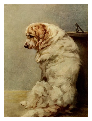 013-Mastin del Pirineo-The power of the dog 1910- Maud Earl