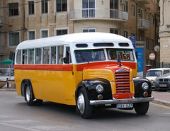 Malta Buses