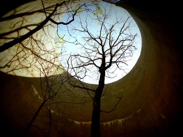 The tree in the silo