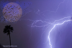 Lightning Fantasy Images