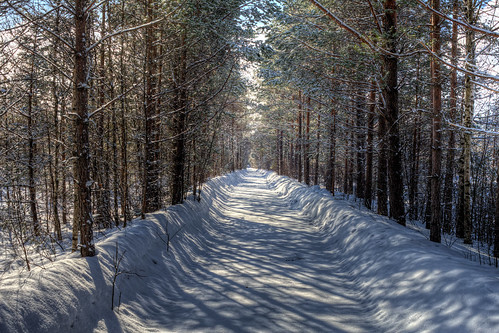 Winter road, Finland