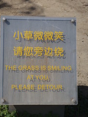 The friendliest grass in China