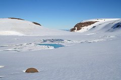 2006-6 Greenland- Disko Island 