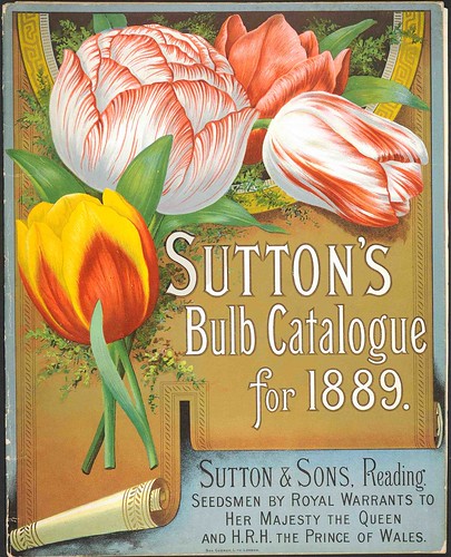 Suttons1889-cover