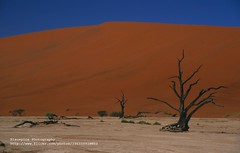Namibia, 2001