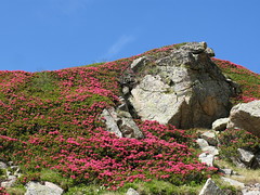 Pic de l'Albe - etang du Siscar