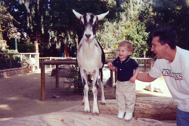 Fresno Zoo, 1998