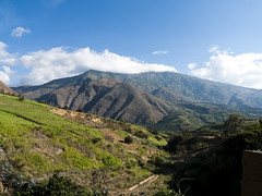 2010 - Huánuco