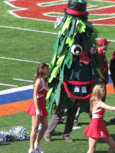 Another Pic of the Stanford Tree