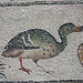 Antioch: Mosaic of a Duck