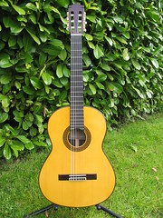 Yamaha CG171S Guitar