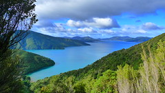 Picton, Marlborough Sounds and Queen Charlotte Track 14-16 June 2010 